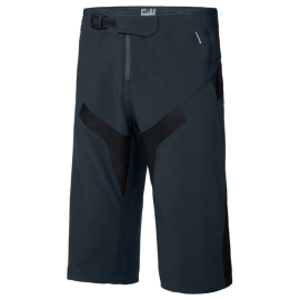 Alpine men's shorts, black XX-large